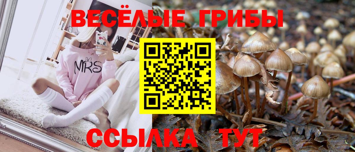 Тавда  Псилоцибиновые грибы мухоморы  Вход с VPN 
